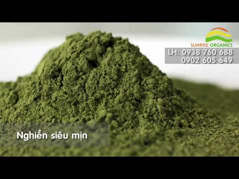 Video Quy trình sản xuất bột rau má - youtube