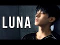 Lee seokmin dk  luna  seventeen fmv