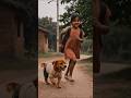 #DreamTrackAI dog Garib music Hindi
