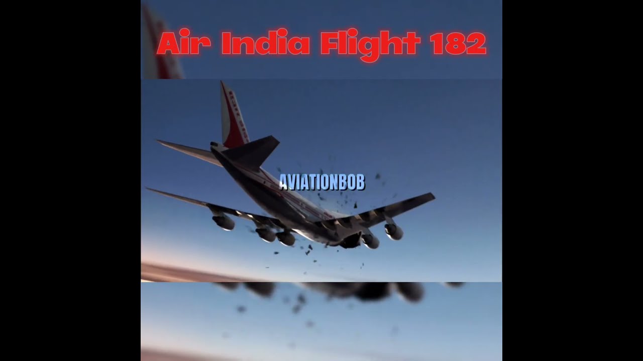 Just A Normal Minion Airlines Flight Shorts Aviation Avgeek