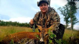 HUNTING ROEBUCK - How to be successful when choosing stand