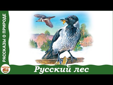 Русский лес. Иван Соколов-Микитов