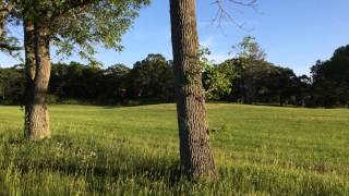 Appleton Farms Evening