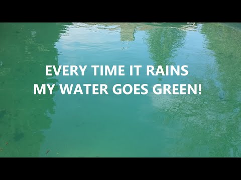 Why Does My Water Turn Green When It Rains?