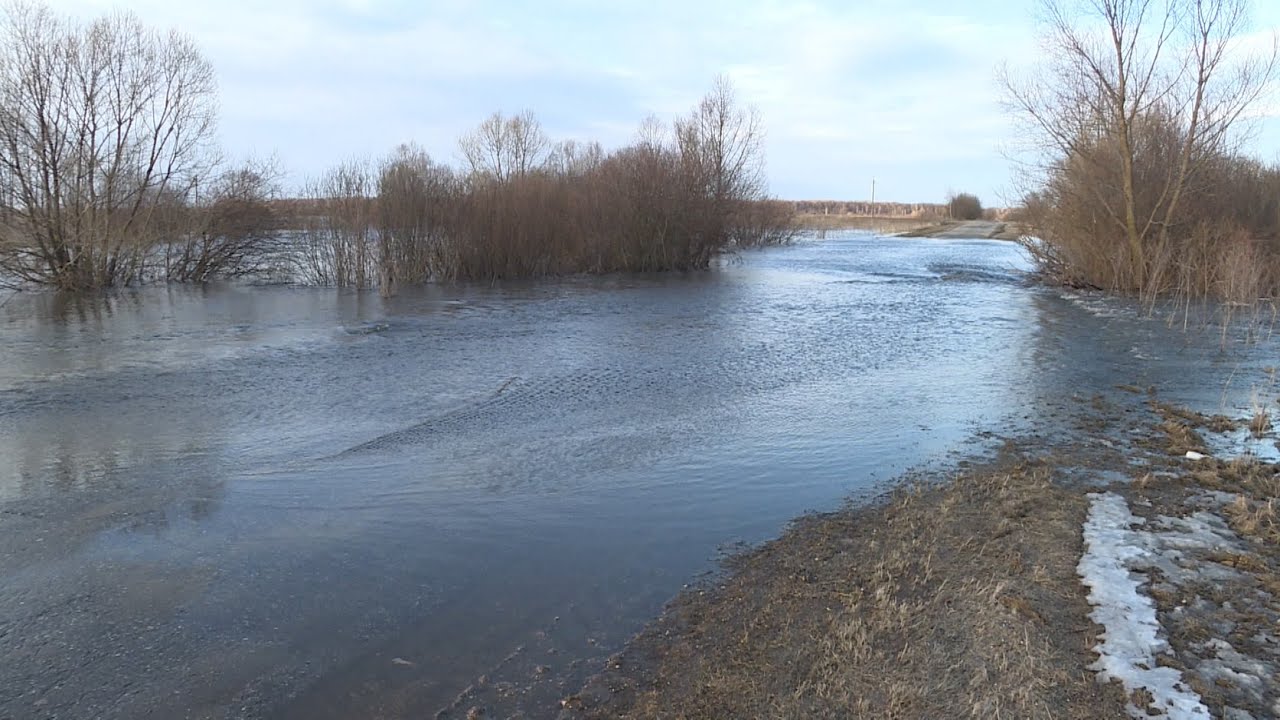 Уровень воды 2023 рязань