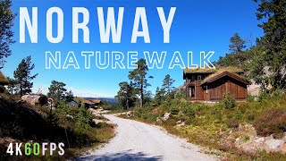 ⁴ᴷ⁶⁰ WALK NORWAY | Norway Nature Walk | FULL 1 Hour Hike Virtual Nature Walk 🇳🇴 挪威步行