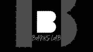 Pattern of Self Deception : Understanding why we believe our own Bullshit 