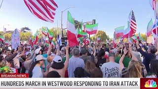 Healthy SoCal Iranian community reacts to killing of Iran's supreme leader Plant