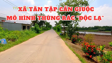 Khám phá xã Tân Tập Cần Giuộc Long An