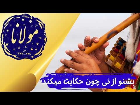 مولانا شعر بشنو از نی چون حکایت میکند