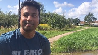 Where to exchange Euro to SEK?