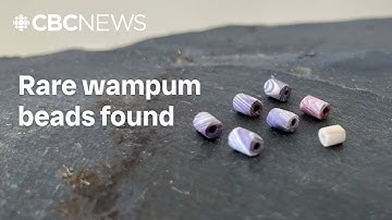 Tiny wampum beads found in N.L. a huge discovery, say archaeologists