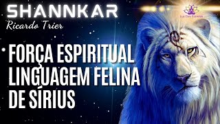 Felino Shannkar - Canto - Força Espiritual Na Linguagem Felina de Sírius