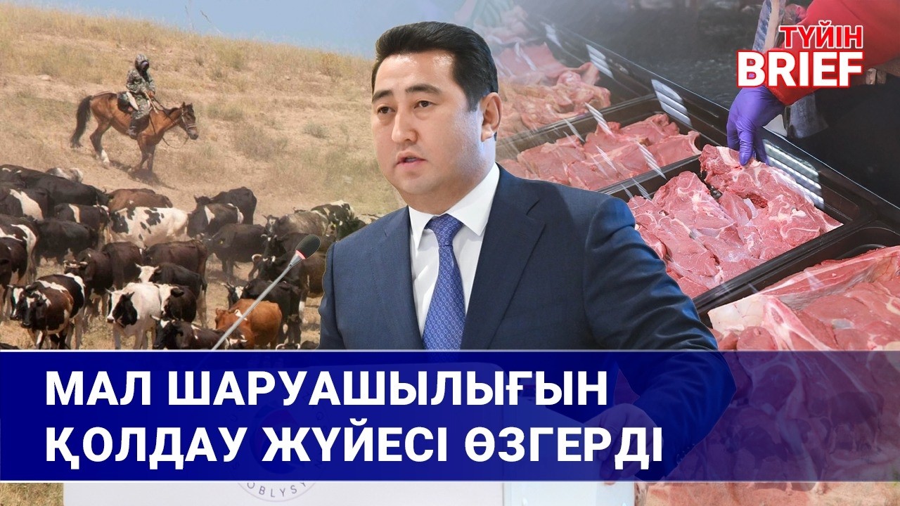 Министр: еттің көтерме бағасы 3-4 мың теңге болуы керек | BRIEF.Түйін | 01.03.2026