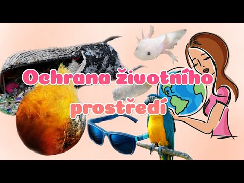 Video: Jaké jsou výhody ochrany životního prostředí?