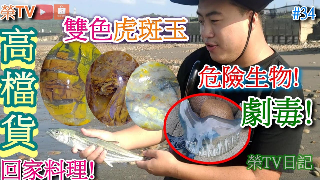 撿到稀有玉石大豐收#僧帽水母#金芒玉髓#細紋虎斑玉#彩斑玉#鯨魚骨化