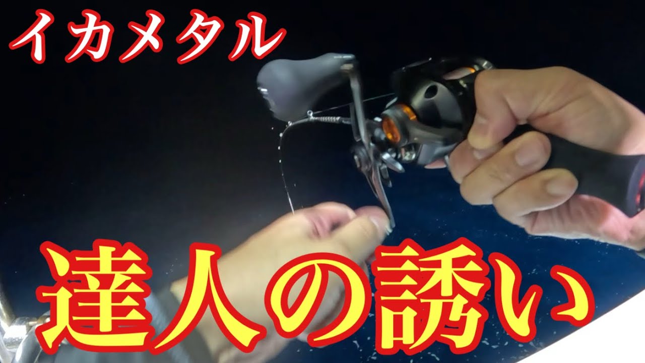 イカメタルの達人にイカが思わず抱いてしまう誘いを教えていただきました！【イカメタル＆オモリグ】