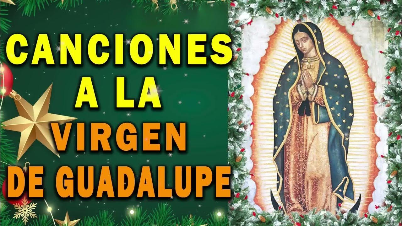 Cántos a la virgen de Guadalupe La Virgen De Guadalupe 2024 Los Cántos a la virgen de Guadalupe La Virgen De Guadalupe 2024 Los