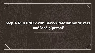 P4+ONOS