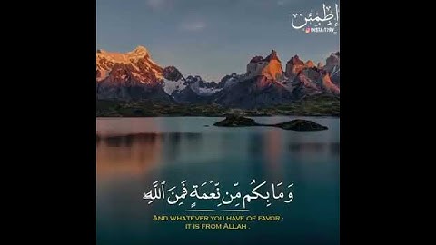 تلاوة خاشعة " وقال الله لا تتخذوا إلاهين اثنين "