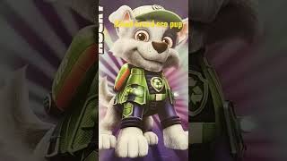 ROCKY IS A MIXED BREED ECO PUP #pawpatrol #rocky #mixedbreed #dog #recycling #shorts