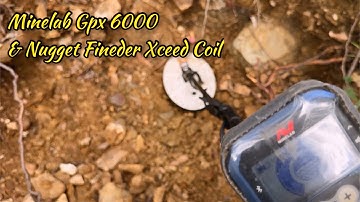 Minelab gpx 6000 and the Nugget Finder Xceed Coil