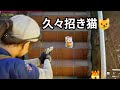 #217【隔離中だけど報酬倍増💰🤣!!】【World WAr Z Aftermath:PS5│ワールドウォーZ アフターマス実況プレイ】【参加型】【雑談】