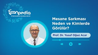 Mesane Sarkması Neden Ve Kimlerde Görülür?