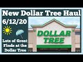 New Dollar Tree Haul 6/12/20 Lots of great finds at the Dollar Tree