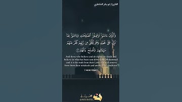 القارئ: شيخ ابو بكر الشاطري 🤍 #allah #islam #quran #قرآن