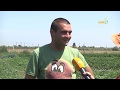 Те победиха: Дилян Иванов - млад фермер с био оранжерийни и полски зеленчуци, автор: В. Спасова