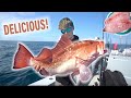 Offshore Big Fish (Catch Clean Cook) Madness! -- Best Fish to Eat! (Florida Send DAY 3)