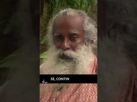 Seu Amor é