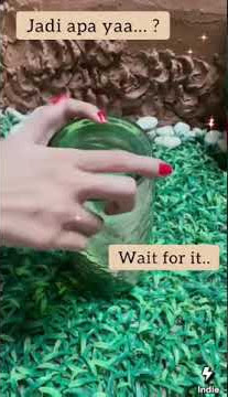 Pradiskin Hydrating treatment Essence #pradiskin #pradiskinglow #essence