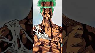 Zoro Took All Luffys Pain