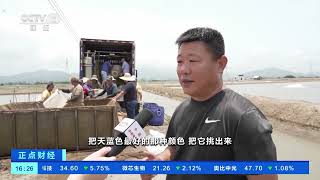 [正点财经]广东：日本市场需求增加 鳗鱼出口迎旺季| 财经风云