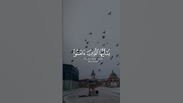 إِنَّ ٱللَّهَ وَمَلَٰٓئِكَتَهُۥ يُصَلُّونَ عَلَى ٱلنَّبِىِّ ۚ - القارئ خالد الجليل