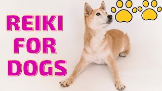 Reiki for Pets & Animals, Healing Music for Dogs,Energy Healing for Pets,Reiki for Dogs