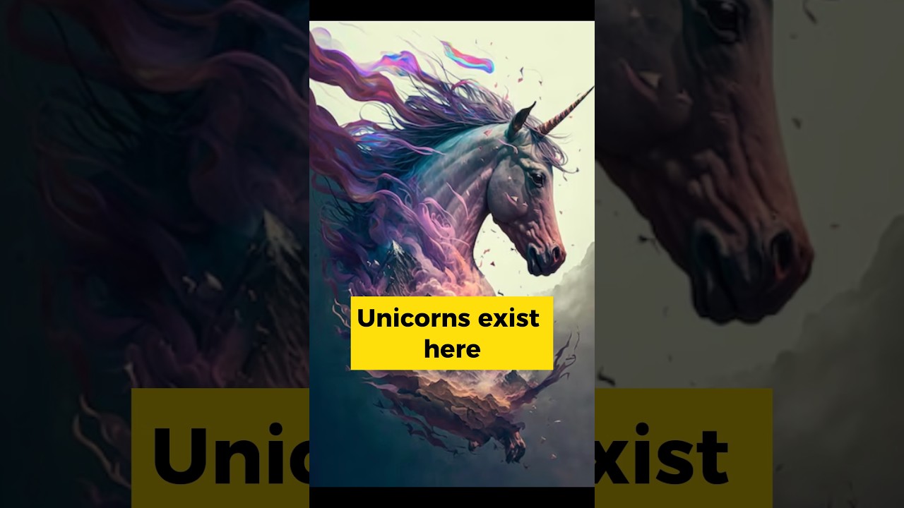 Unicorns exist here ? 
