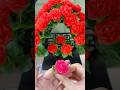 DIY gift ideas ribbon rose flowers#handmade #diyprojects #flowers #gift #ribbon #reed #diycrafts