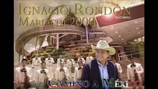 Ignacio Rondon Ft. Maiachi 2000 - Enamorado (Audio Oficial)