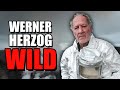 The wildest director ever  werner herzog