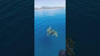 caretta caretta laganas #laganas #nature #summer #travel #zakyntos #zante #greece #seaturtle #isla