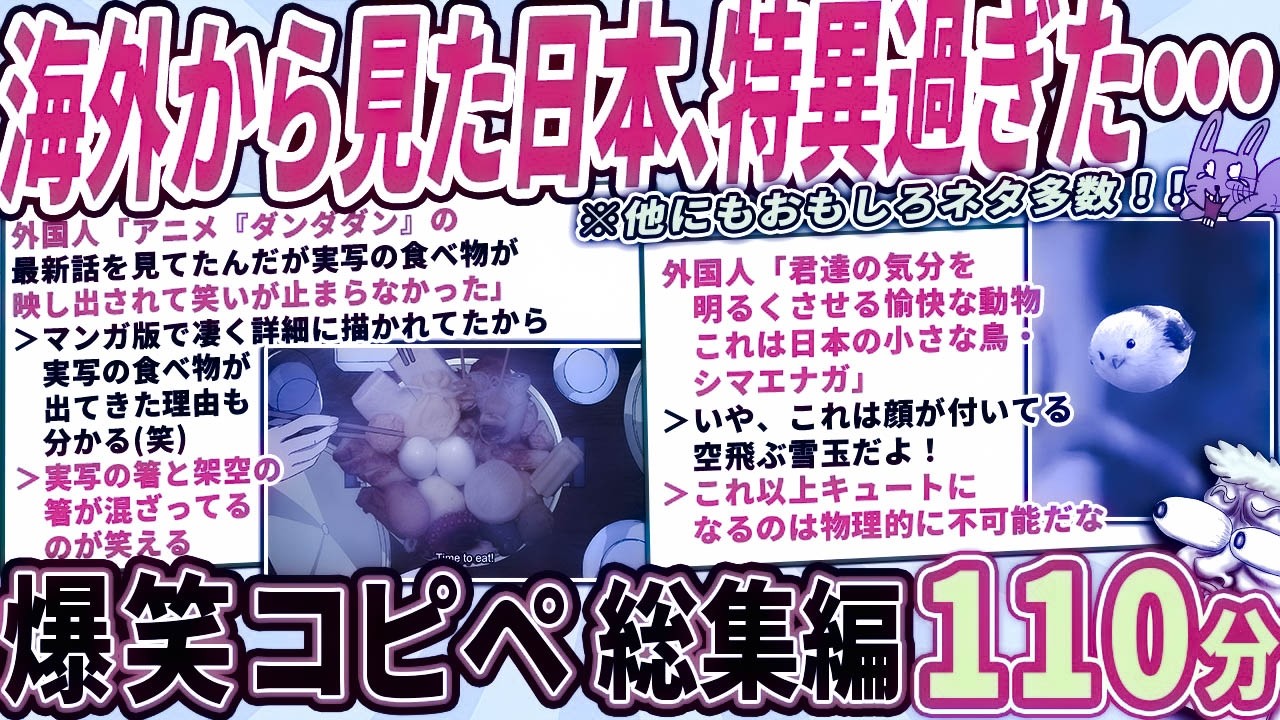 日本のおかしな所が、海外のニキネキにバレて困惑されるｗｗ