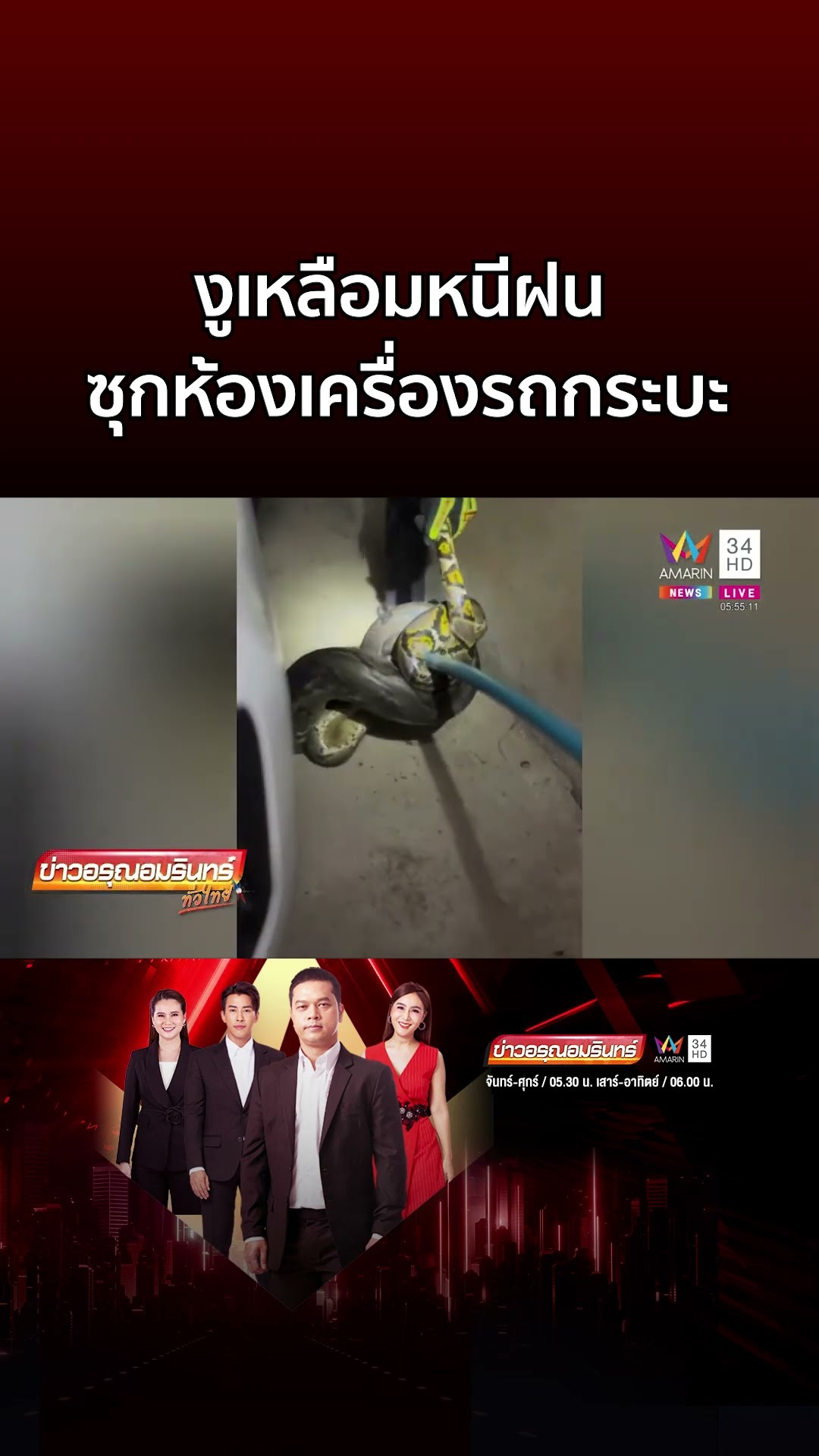 ผงะ! งูเหลือมหนีฝน ซุกห้องเครื่องรถกระบะ  | ข่าวอรุณอมรินทร์