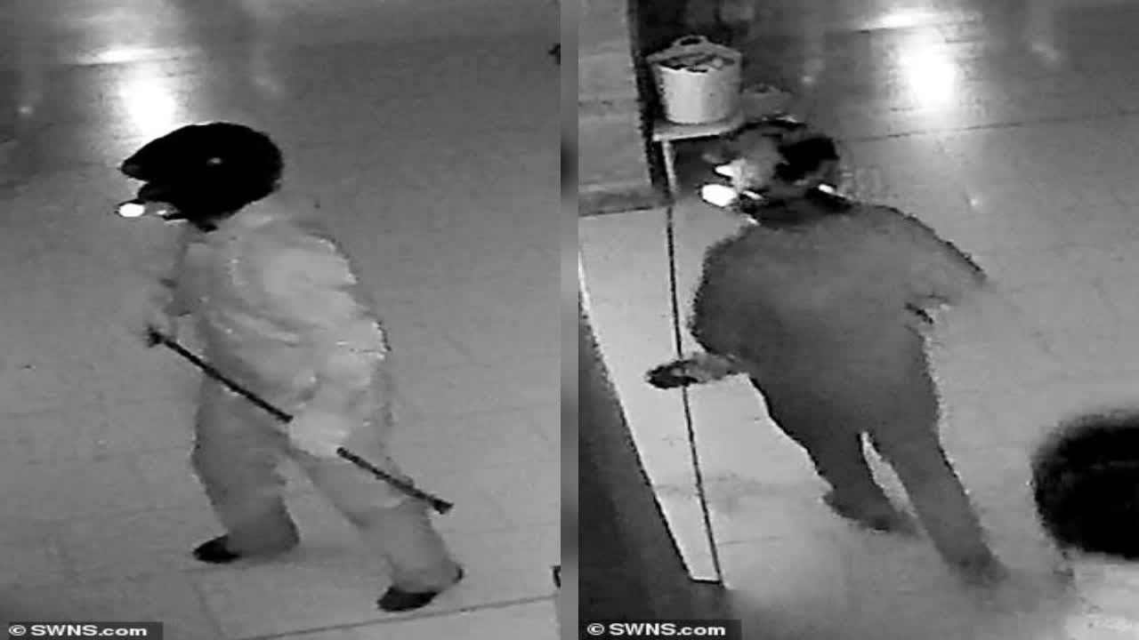 Four arrested after priceless diamondencrusted Cartier tiara stolen