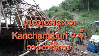 ပှၤဃ့ၢ်တၢ်ဒုးလၢ Kanchanaburi တနီၤဘၣ်တၢ်နီက့ၤ 30/5/2024