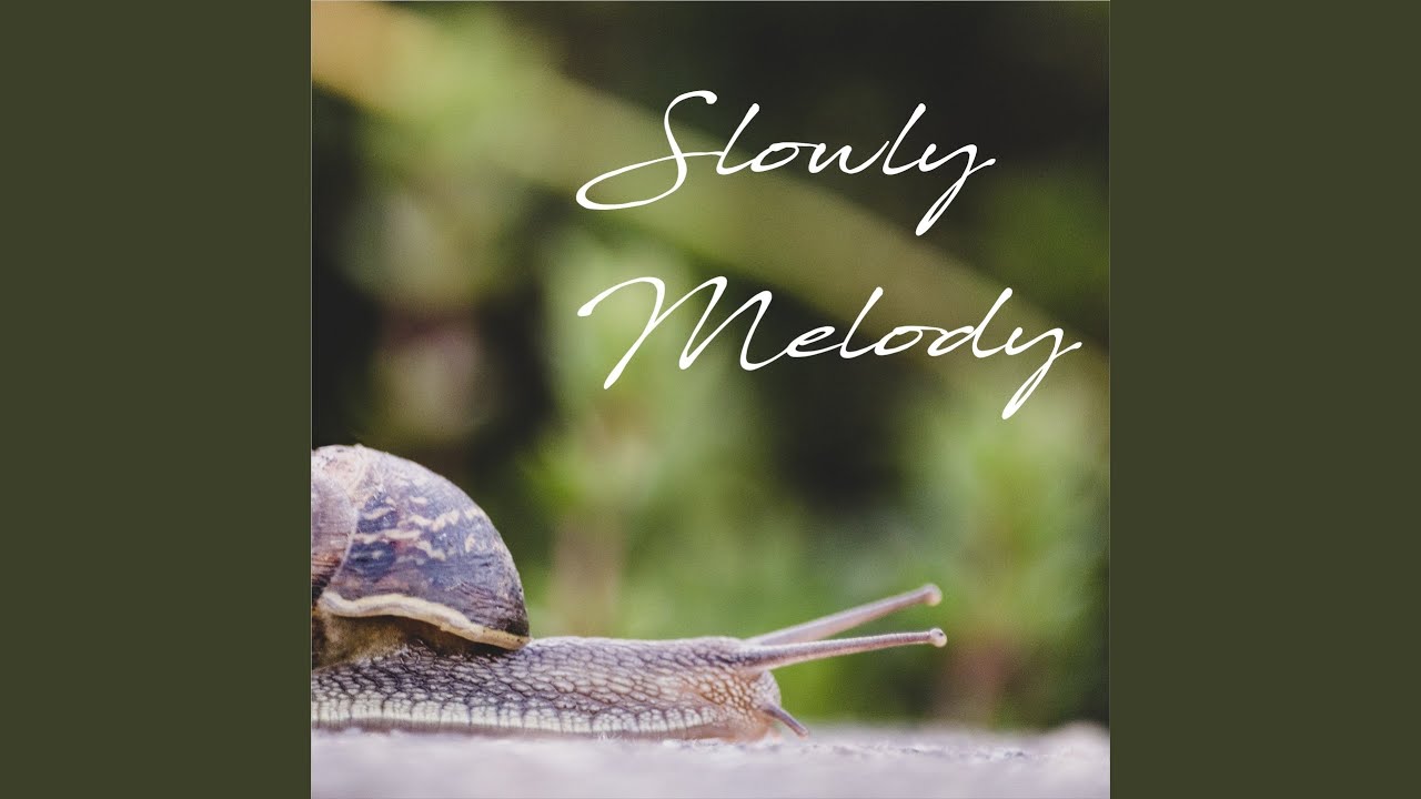 A New Kicks (feat. Fabrizio Pendesini, Filos)