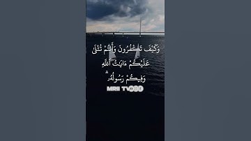 "وكيف تكفرون وأنتم تتلى عليكم آيات الله وفيكم رسوله" #آل_عمران #ماهر_المعيقلي #القرآن_الكريم