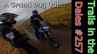 Trails in the Dales #257